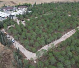 İnegöl Belediyesi’nden can dostlarına yeni yuva