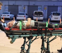 Ceviz ağacından düşen adam ağır yaralandı