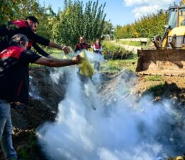 Bursa’da pestisite geçit yok