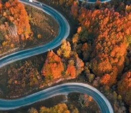 Bursa’da sonbaharla ormanlara gelen renk cümbüşü