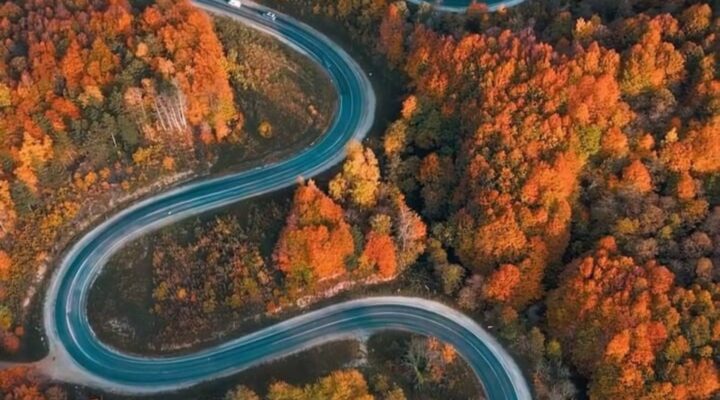 Bursa’da sonbaharla ormanlara gelen renk cümbüşü